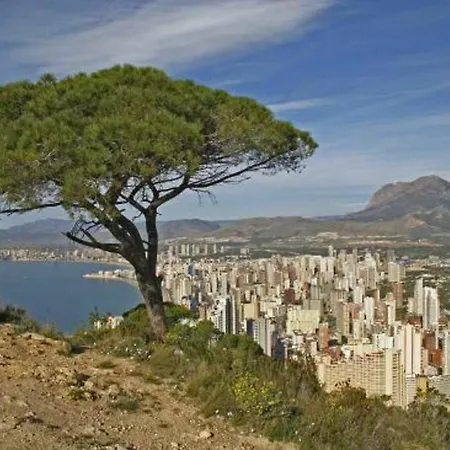In Benidorm, Alicante 103103 By Mo בנידורם